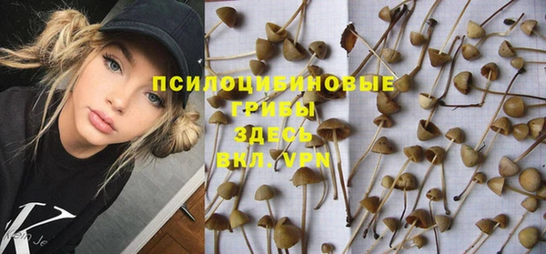 ПСИЛОЦИБИНОВЫЕ ГРИБЫ Армянск
