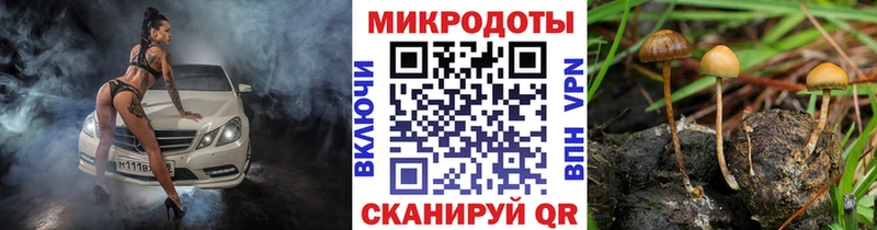Псилоцибиновые грибы Cubensis  наркота  Минеральные Воды 